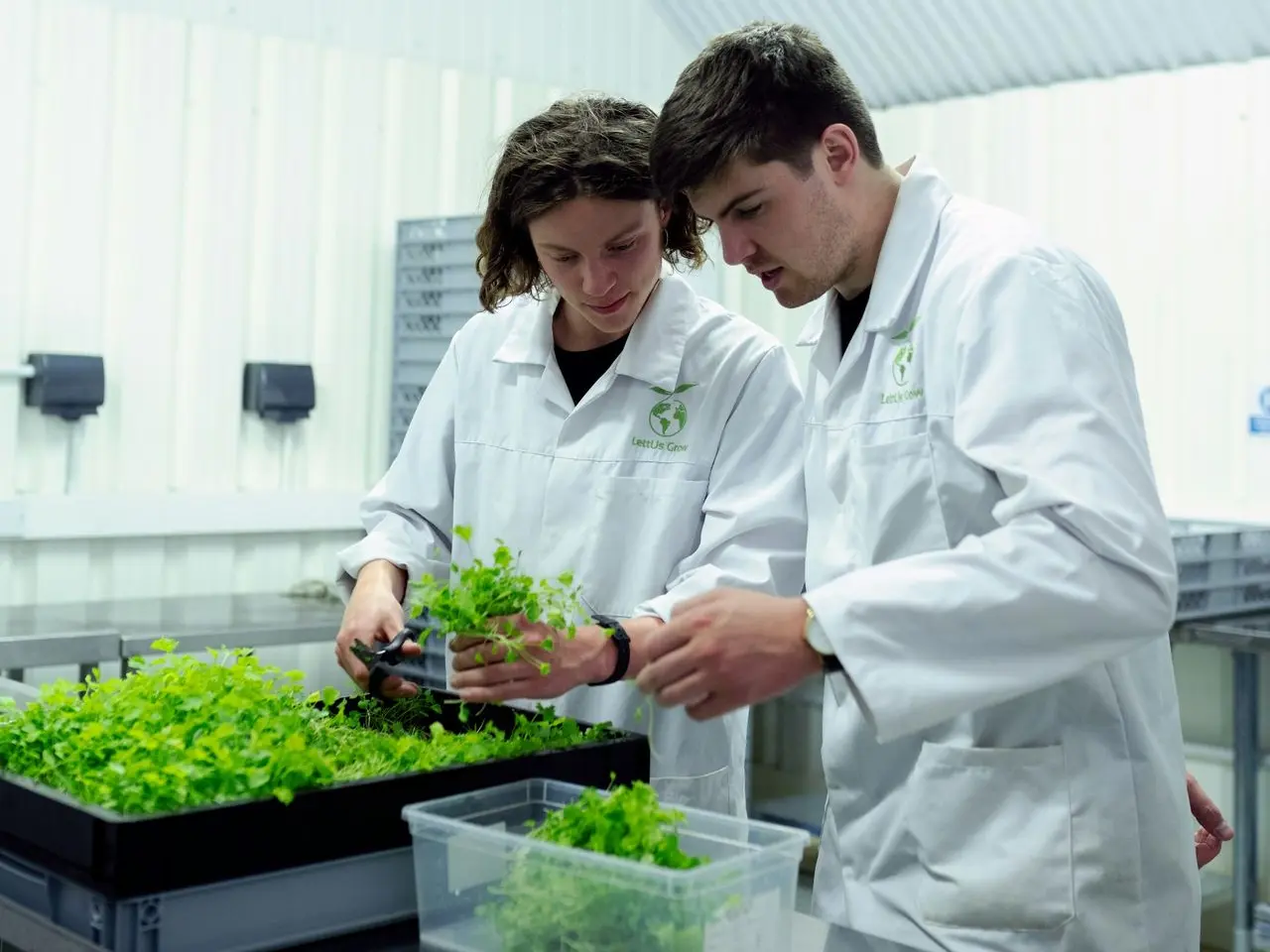 2 men in white dress shirt holding green plant